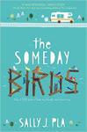 someday birds